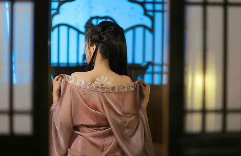 侠女逍遥录 侠女逍遥录游戏攻略存档指南 封面图